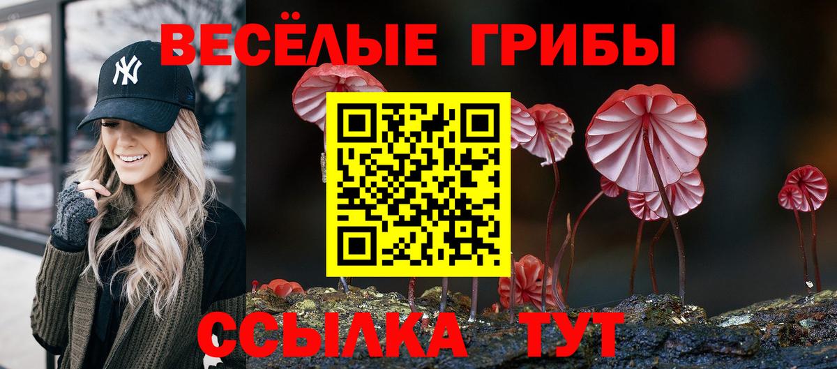 Псилоцибиновые грибы Magic Shrooms Сергиев Посад