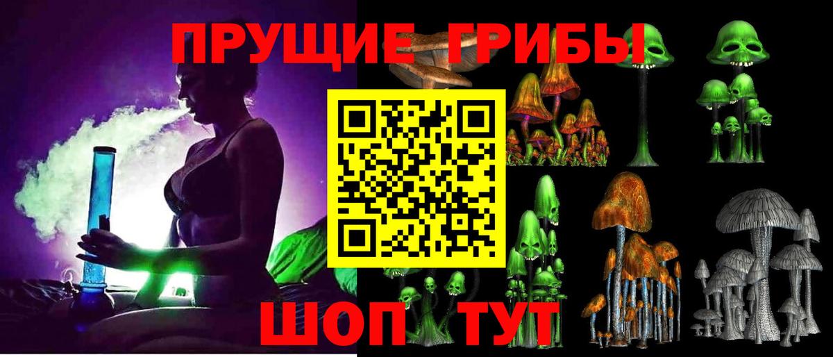 Псилоцибиновые грибы Psilocybine cubensis  Вход с VPN  Сергиев Посад 